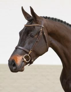 Equilook Professional Flash Noseband Bridle -Sports - Equestrian 10129