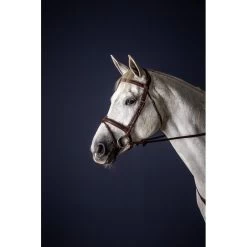Dyon New English Collection Flash Noseband Bridle Brown