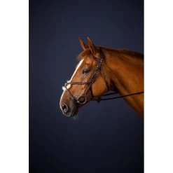 Dyon New English Collection Figure 8 Noseband Bridle Brown