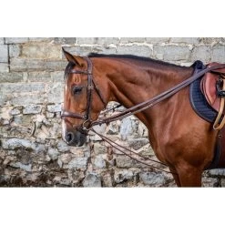 Dyon D Collection Draw Reins Leather/nylon