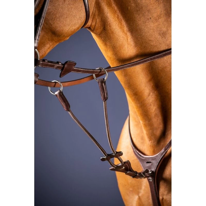 Dyon New English Collection Elastic Martingale Attachment Brown 2 Dyon New English Collection Elastic Martingale Attachment Brown - Image 2