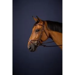 Dyon New English Collection X-fit Anatomic Bridle Brown