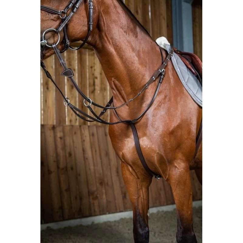 Dyon Working Collection Martingale Brown 1 Dyon Working Collection Martingale Brown