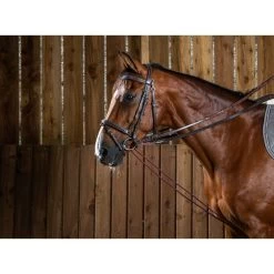 Dyon Working Collection Draw Reins Leather/nylon Brown