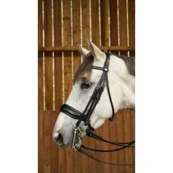 Dyon Working Collection Double Bridle Matt Black