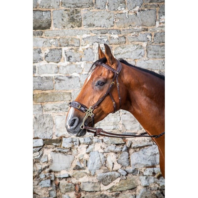 Dyon D Collection Hackamore Bridle Brown 2 Dyon D Collection Hackamore Bridle Brown - Image 2