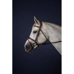 Dyon New English Collection Anatomic Flash Noseband Bridle Brown