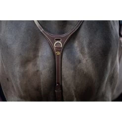 Sports - Equestrian -Sports - Equestrian 10825