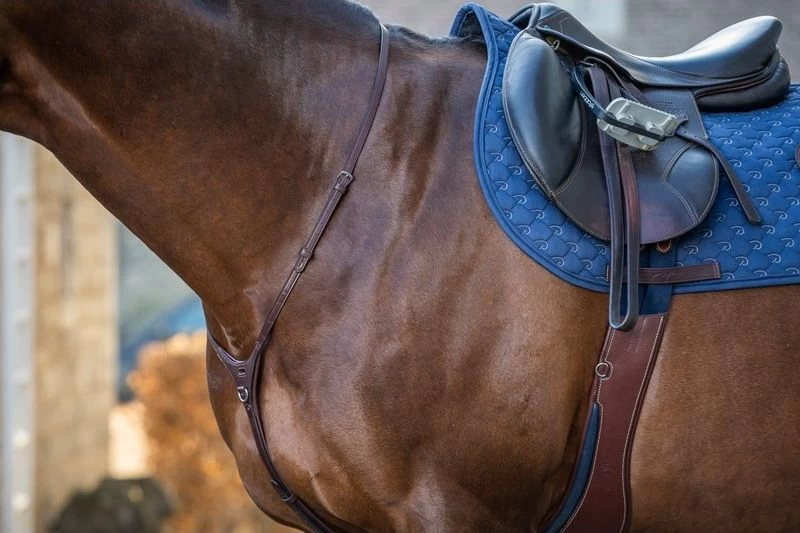 Dyon New English Collection Martingale Yoke 2 Dyon New English Collection Martingale Yoke - Image 2