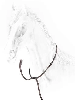 Equiline Hunter Fixed Martingale Brown