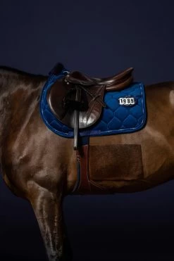 Sports - Equestrian -Sports - Equestrian 13409