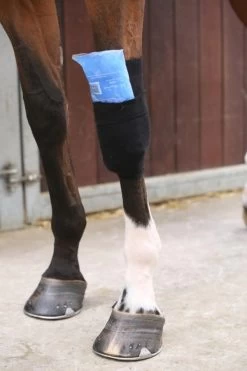 Kentucky Horsewear Tendon Grip Sock Leg Protection 9 Kentucky Horsewear Tendon Grip Sock Leg Protection -Sports - Equestrian 1576