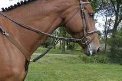 LJ Leathers New Pro Breastplate With Elastic -Sports - Equestrian 2861