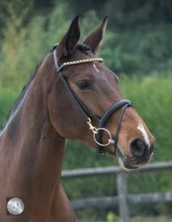 LJ Leathers Pro Selected Bridle With Clips Black