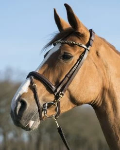 LJ Leathers Pro Selected Bridle With Clips Brown
