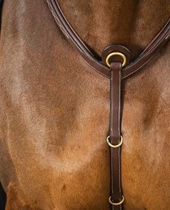 Dyon D Collection Breastplate With Bridge Brown -Sports - Equestrian 5348