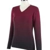 Animo Wool Sweater Sylle