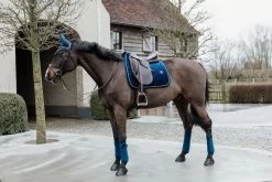 Kentucky Horsewear Saddle Pad Basic Velvet Dressage Blue -Sports - Equestrian 7940