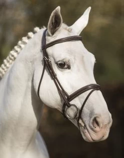 LJ Leathers New Pro Bridle Flash Noseband