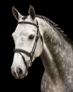 LJ Leathers New Pro Bridle Flash Noseband -Sports - Equestrian 9065