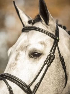 LJ Leathers New Pro Bridle Flash Noseband -Sports - Equestrian 9066
