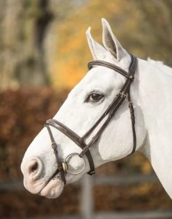 LJ Leathers New Pro Bridle Flash Noseband -Sports - Equestrian 9067