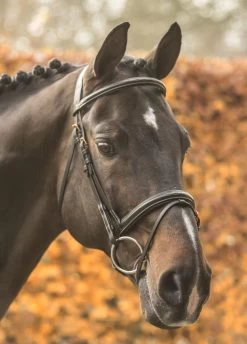 LJ Leathers New Pro Bridle Flash Noseband -Sports - Equestrian 9068