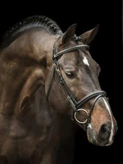 LJ Leathers New Pro Bridle Flash Noseband -Sports - Equestrian 9069