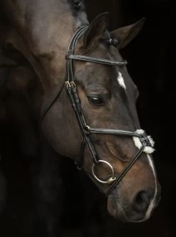 LJ Leathers New Pro Bridle Figure 8 Noseband -Sports - Equestrian 9074