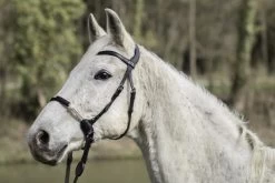 Dyon La Cense Collection Bitless Bridle Black