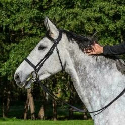 Dyon La Cense Collection Bridle Flash Noseband Black