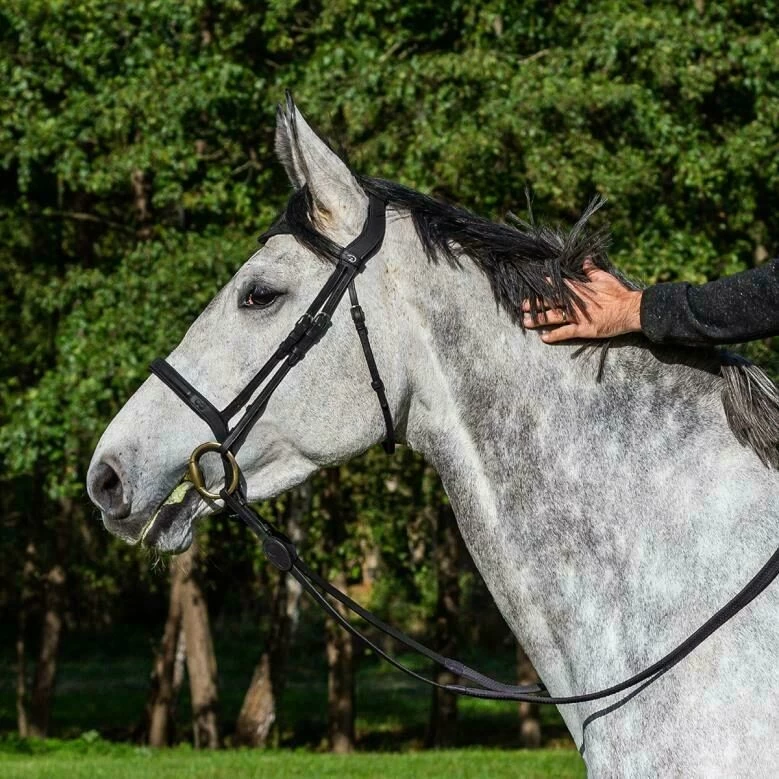 Dyon La Cense Collection Bridle Flash Noseband Black 1 Dyon La Cense Collection Bridle Flash Noseband Black