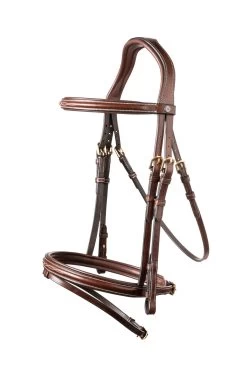 TRUST Bridle Calgary Combined Noseband Gold Buckle Brown