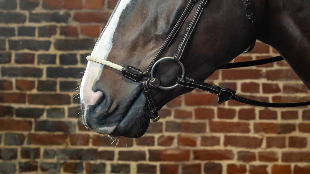 Dyon D Collection Drop Rope Noseband Black 2 Dyon D Collection Drop Rope Noseband Black - Image 2