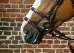 Dyon D Collection Double Noseband Brown