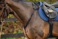 Dyon D Collection Breastplate With Bridge Black