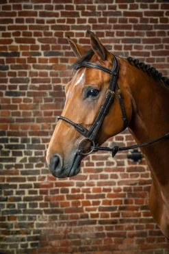 Sports - Equestrian -Sports - Equestrian DYAAAIblf