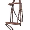 TRUST Bridle Knokke Combined Noseband Gold Buckle Brown