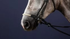 Dyon New English Collection Drop Rope Noseband Black