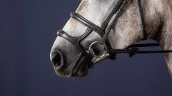 Dyon New English Collection Double Noseband Black