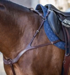 Dyon New English Collection Anatomic Breastplate Brown