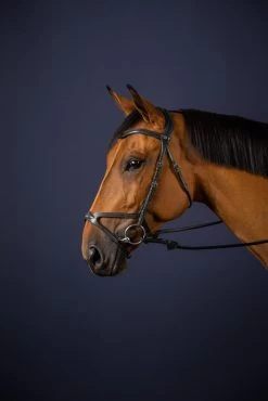 Dyon New English Collection X-fit Anatomic Bridle Black