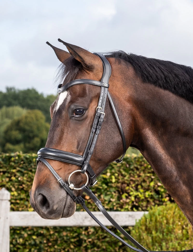 Dyon Dressage Bridle With Matte Medium Noseband Black 1 Dyon Dressage Bridle With Matte Medium Noseband Black