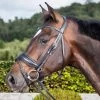 Dyon Dressage Large Crank Noseband Bridle Flash Black