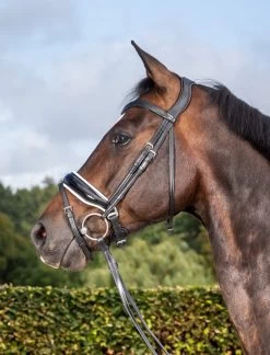 Dyon Dressage Patent Large Crank Noseband Bridle With White Padding And Flash Black