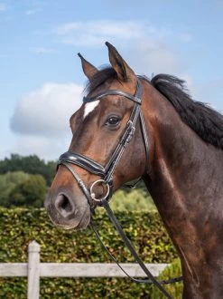 Dyon Dressage Bridle With Matte Medium Crank Noseband Black