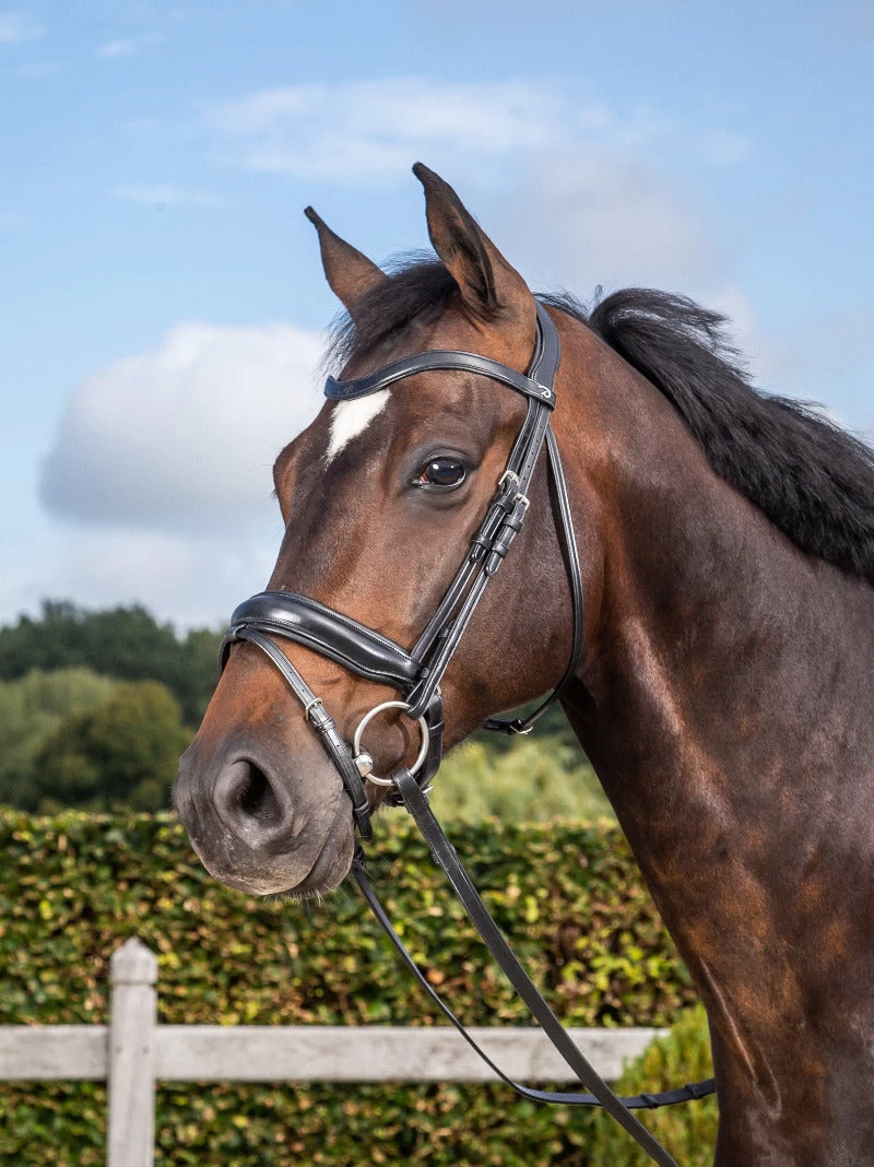 Dyon Dressage Bridle With Matte Medium Crank Noseband Black 1 Dyon Dressage Bridle With Matte Medium Crank Noseband Black
