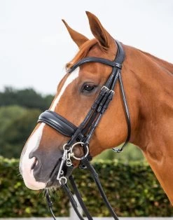Dyon Dressage Large Crank Noseband Double Bridle Black