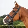 Dyon Dressage Patent Large Crank Noseband Double Bridle Black