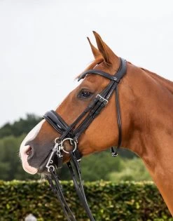 Dyon Dressage Patent Large Crank Noseband Double Bridle Black